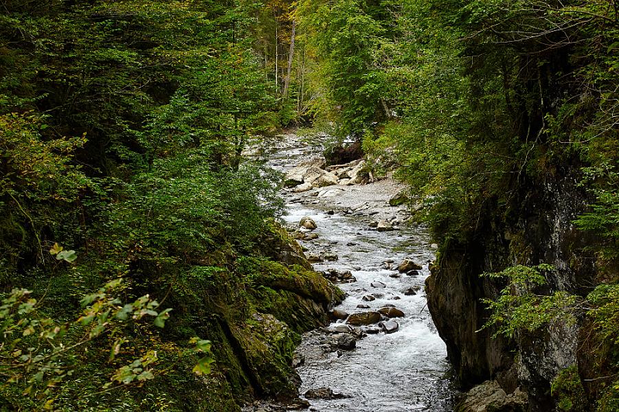 1736 _Kleinwalsertal_10.2021
